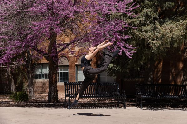Mini Session